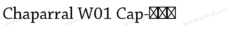 Chaparral W01 Cap字体转换